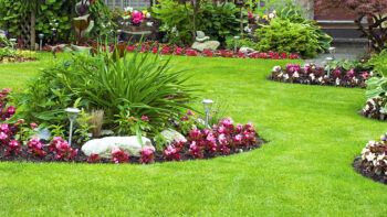 Beautifully landscaped & maintained grounds